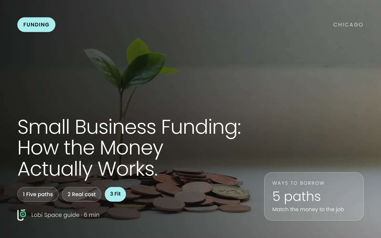 A seedling growing from a pile of coins, with the key points: Five paths; Real cost; Fit.